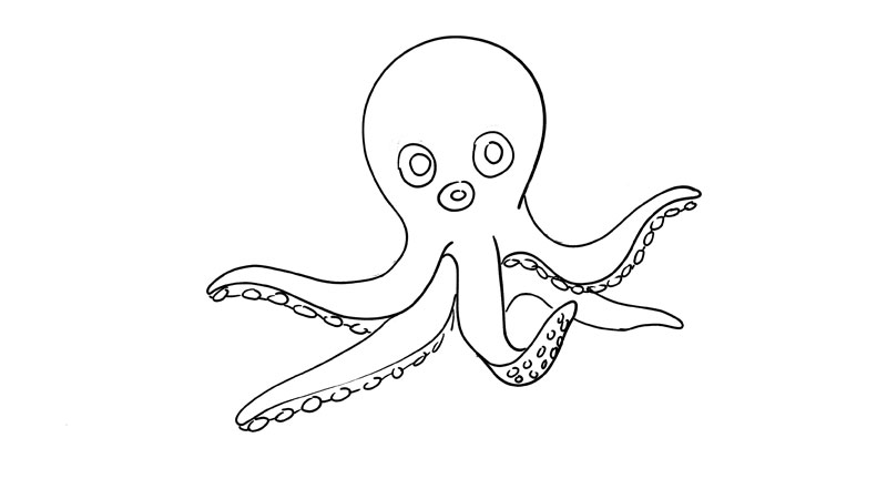 章鱼的简笔画 章鱼怎么画