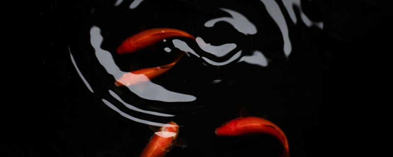 庄子与惠子游于濠梁之上主旨 庄子与惠子游于濠梁之上的主旨是什么