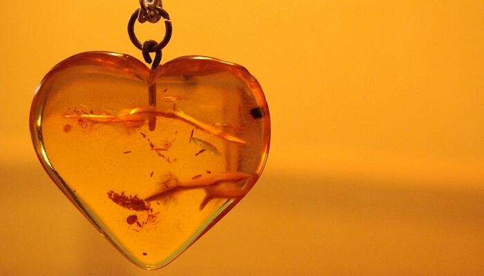 琥珀分为哪几种类型 琥珀常见的有哪些类型