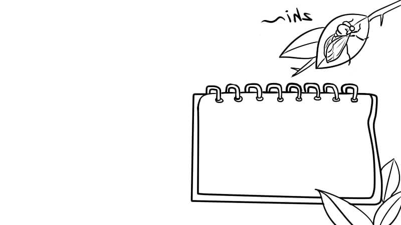 立秋手抄报 立秋手抄报怎么画