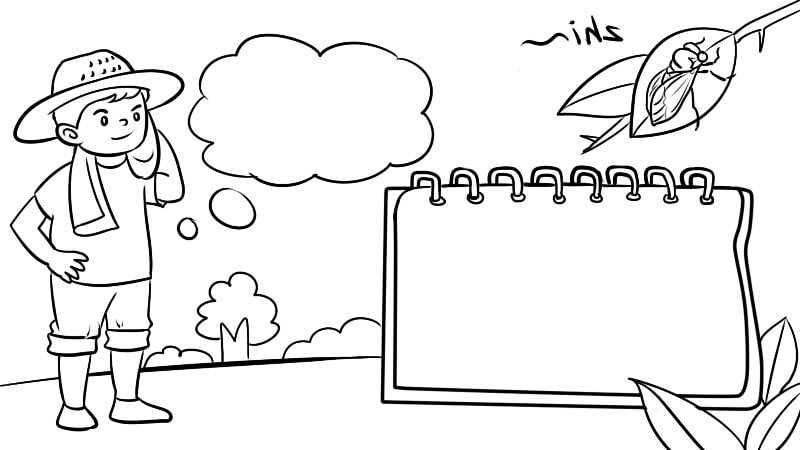 立秋手抄报 立秋手抄报怎么画