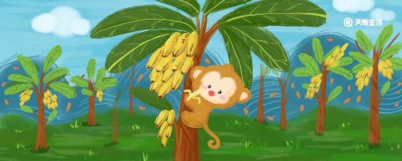 小猴下山告诉我们一个怎样的道理 小猴子下山告诉我们什么道理