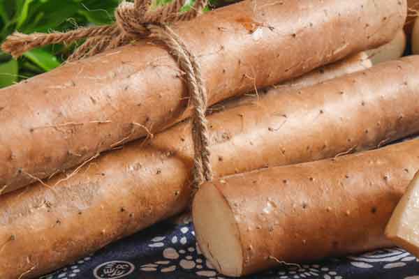 淮山的功效与作用 淮山的禁忌人群