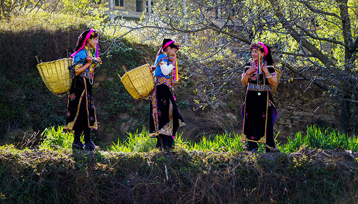 酥油花灯节是哪个民族的节日 酥油花灯节属于哪个民族