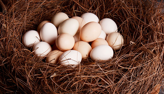 香菇和鸡蛋能放在一起吃吗 香菇和鸡蛋一起吃会中毒吗