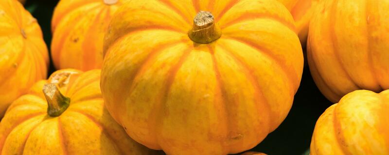 窝瓜和南瓜的区别 窝瓜和南瓜的区别外形