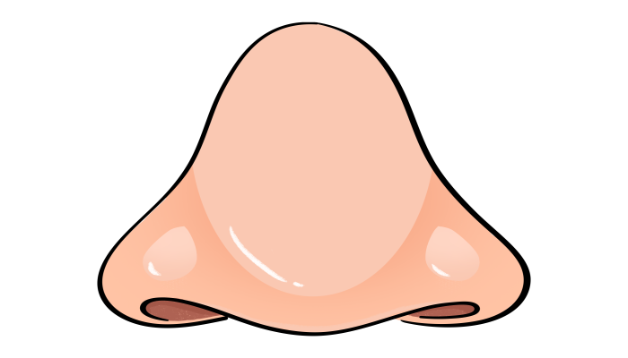 15岁怎么自然缩小鼻头  怎么让鼻头自然缩小