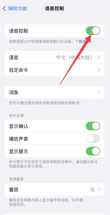 iPhone手机语音控制怎么使用