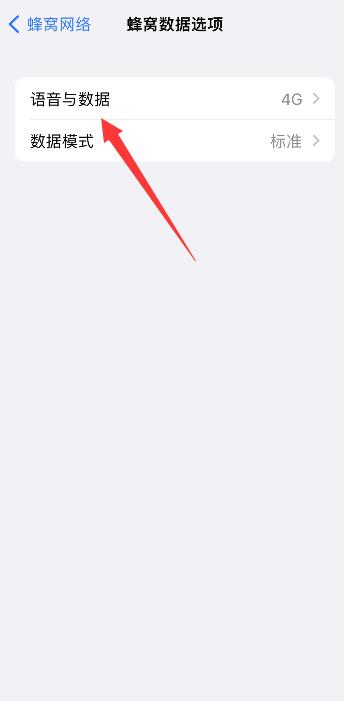 iPhone124g5g怎么切换