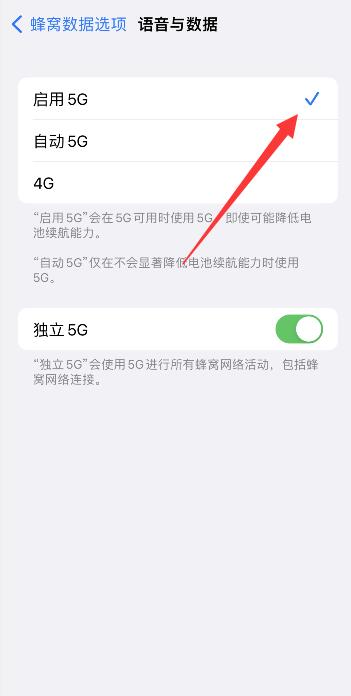 iPhone124g5g怎么切换