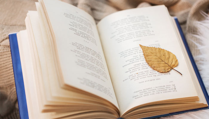 一本书的装帧指的是什么 一本书的装帧什么意思