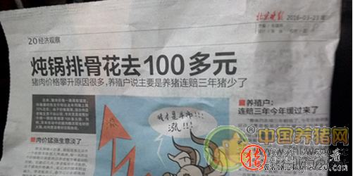 严重缺猪!发改委要拿什么来调控猪价?