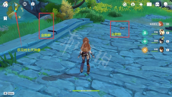 原神金鳅鳅在哪抓 原神金鳅鳅捕捉位置一览