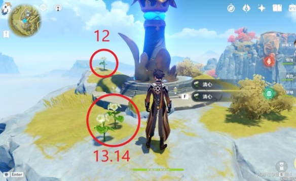 原神璃月特产是什么 清心采集路线推荐