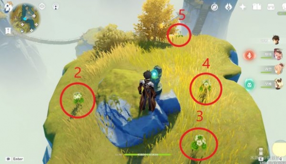 原神璃月特产是什么 清心采集路线推荐