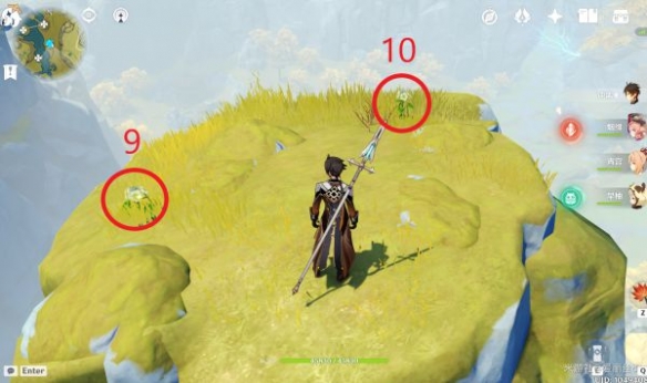 原神璃月特产是什么 清心采集路线推荐