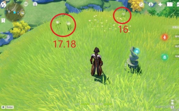 原神璃月特产是什么 清心采集路线推荐