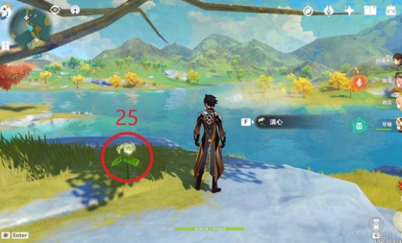 原神璃月特产是什么 清心采集路线推荐