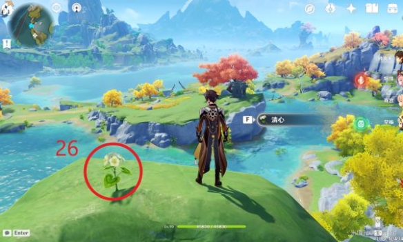 原神璃月特产是什么 清心采集路线推荐