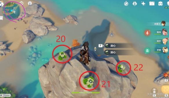 原神璃月特产是什么 清心采集路线推荐