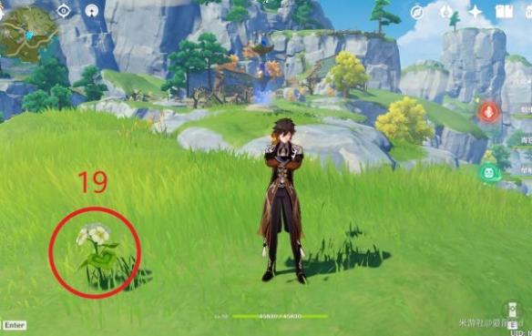 原神璃月特产是什么 清心采集路线推荐