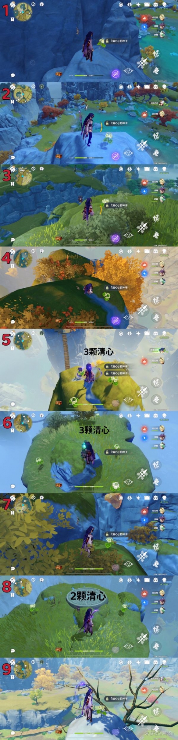 原神清心如何快速收集 快速收集清心路线介绍