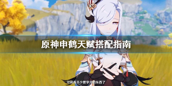 原神申鹤天赋怎么搭配 原神申鹤天赋搭配指南