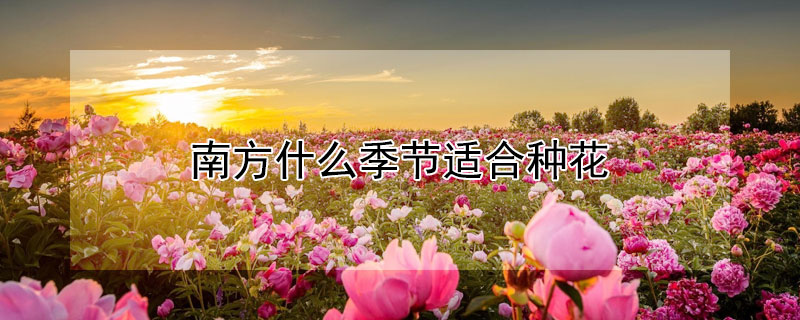 南方什么季节适合种花
